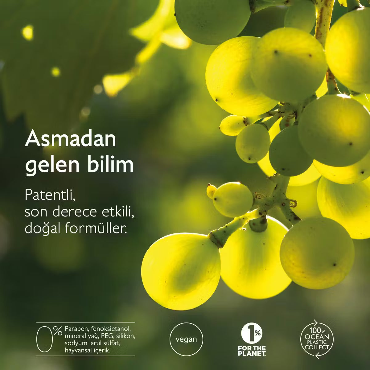 Premier Cru Kapsamlı Yaşlanma Karşıtı Göz Bakım Kremi