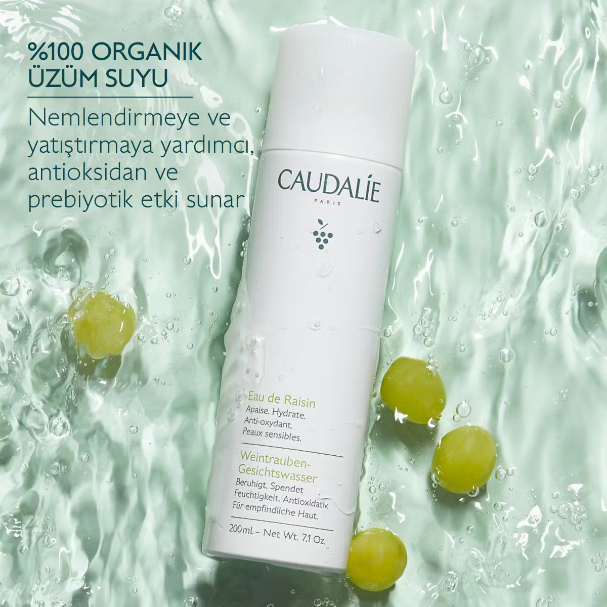 Vinoclean Organik Üzüm Suyu 75ml