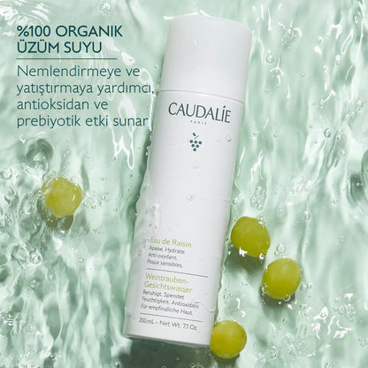 Vinoclean Organik Üzüm Suyu 75ml