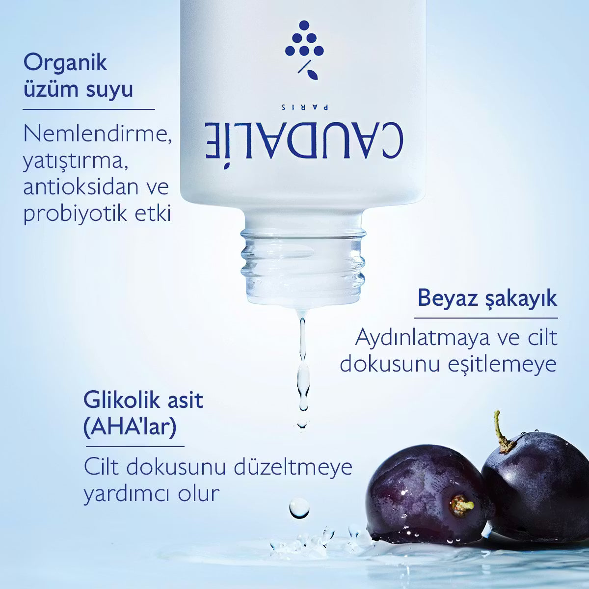 Vinoperfect Leke Karşıtı Işıltı Verici Esans