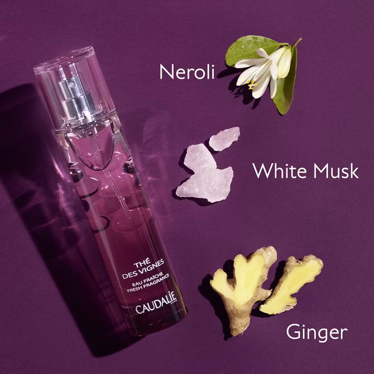 Thé des Vignes Aromalı Parfüm -50ml