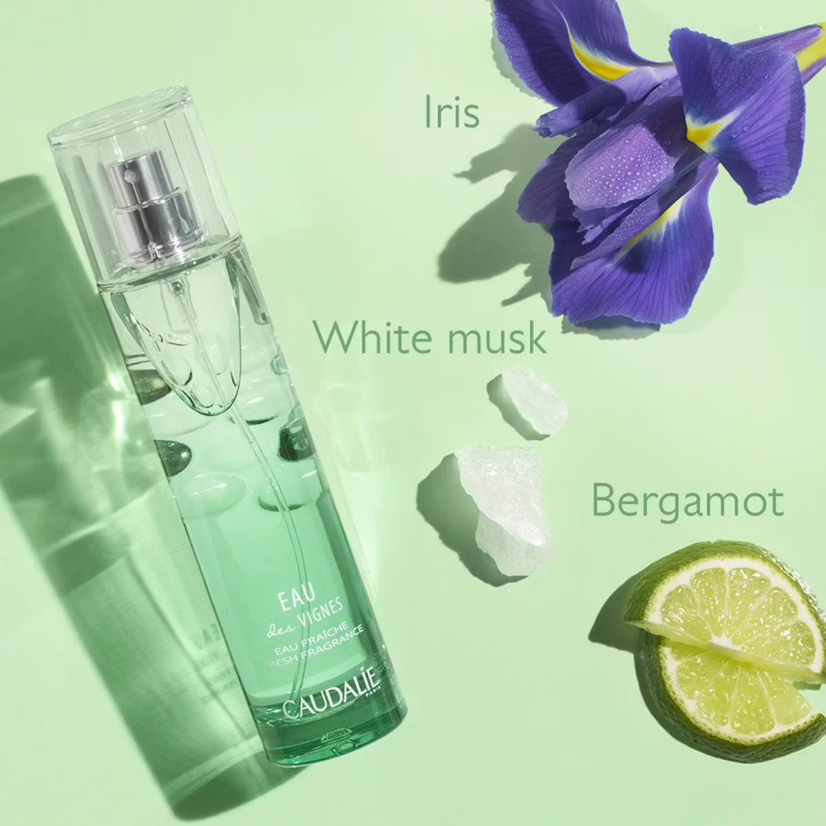 Eau des Vignes Aromalı Parfüm