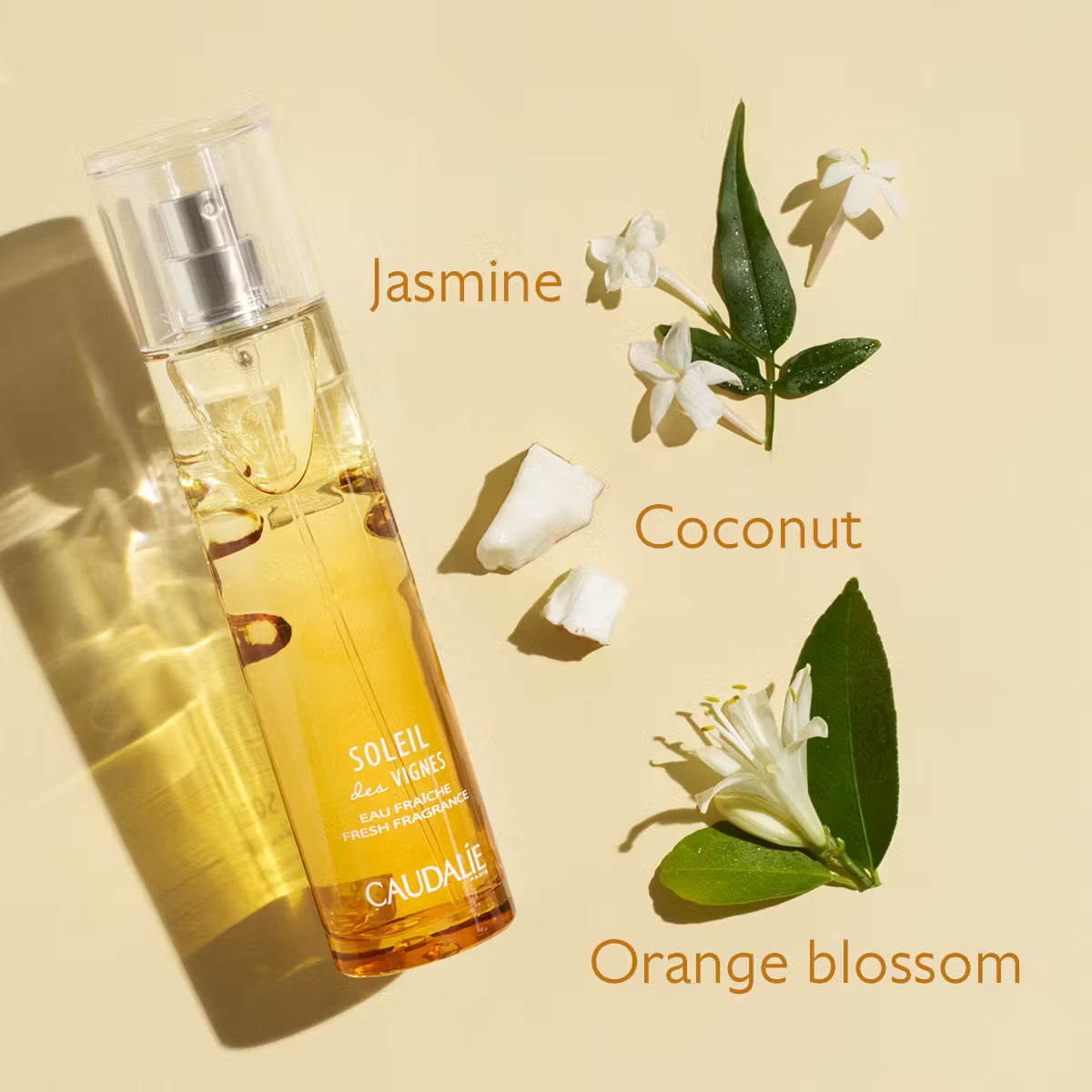 Soleil des Vignes Aromalı Parfüm